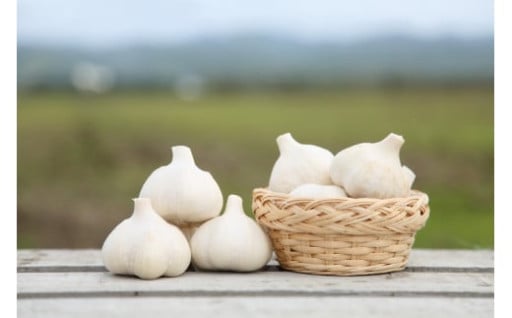 【残りわずか！】浦臼産 にんにく 約2kg