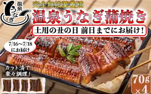 【土用の丑前日までにお届け】国産うなぎ蒲焼