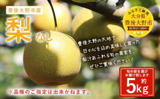 【先行予約】 大分県 豊後大野市産 梨 約5kg