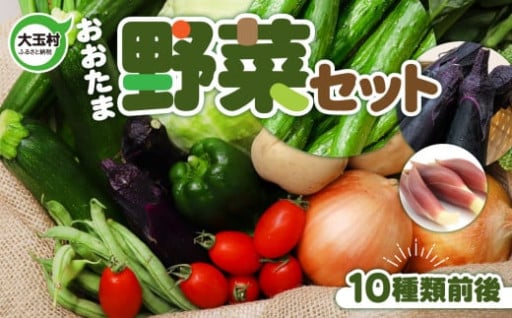 旬の新鮮野菜セット（10種類前後）お試し詰め合わせ