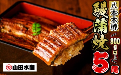 【数量限定】国産 八本木樽鰻の蒲焼(160g以上×5尾)