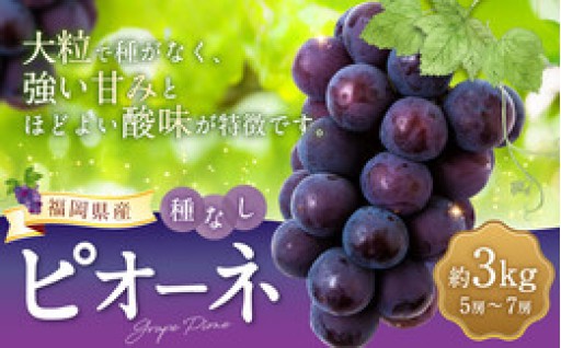 宝玉農園 ピオーネ 5房から7房 （約3kg） 