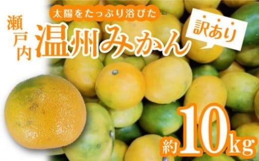 【訳あり】太陽たっぷり浴びた　瀬戸内温州みかん