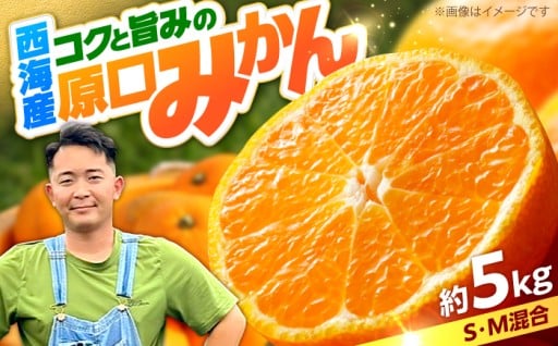 【数量限定】 原口 みかん 約5kg （傷み保証分200g含む） 