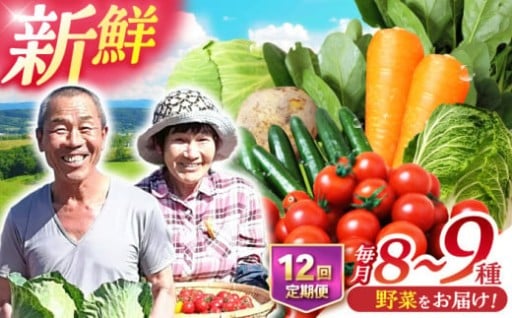 【全12回定期便】諫早産野菜の詰め合わせ 8〜9品目程度