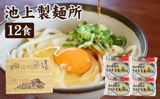 讃岐生うどん12食入（1袋3食入×4袋）＊鎌田醤油だし醤油付＊ 池上製麺所監修！