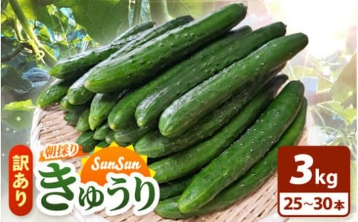 【数量限定】パリッと新鮮✨訳ありだけど美味しい！