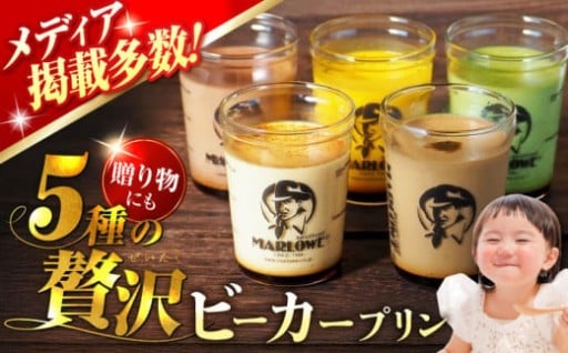 葉山ビーカープリン おすすめプリン 180g×5個セット