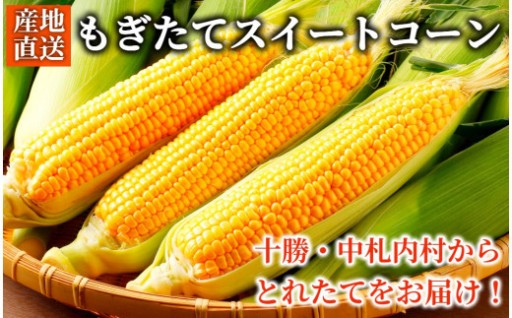 [北海道・十勝 美しい村] 早い者勝ち！！産地直送★太陽の恵みを限りなく浴びたもぎたてスイートコーン 10本