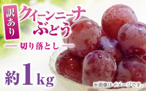 【訳あり】ぶどう 切り落とし 約1kg 