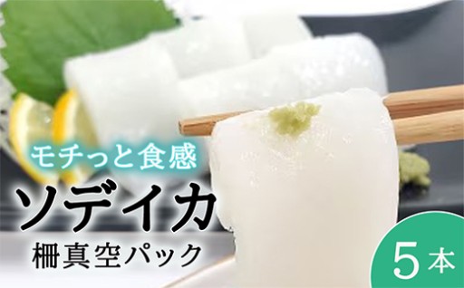 今帰仁産ソデイカ柵真空パック