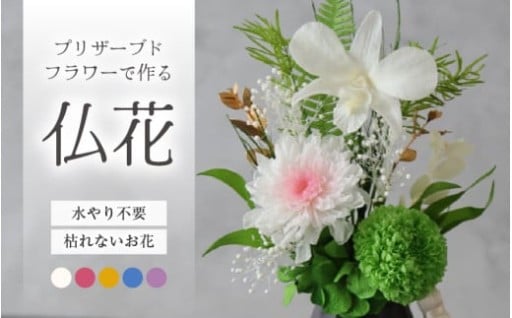【水やり不要】永く飾れる魔法の花✨手間なし楽々👌