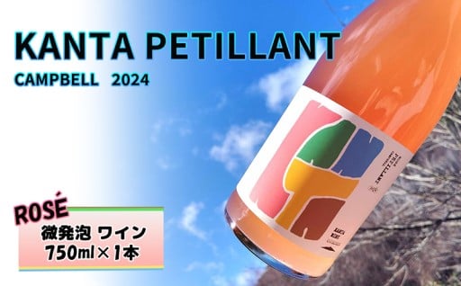 KANTA PETILLANT CAMPBELL ROSE2024 ロゼ 微発砲 ワイン