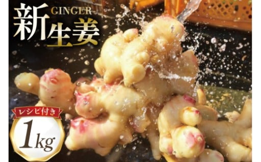 やわらかい！薬味屋人作の島原百年生姜