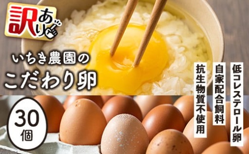  《訳あり・毎月数量限定》いちき農園のこだわり卵(計30個・15個入り×2パック)