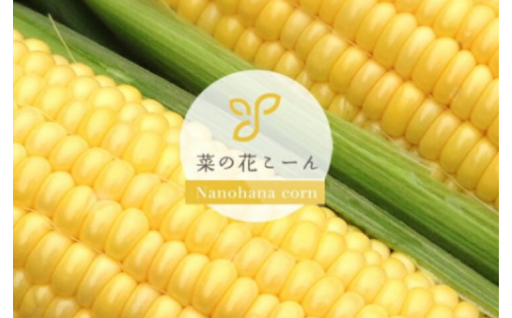 まるでフルーツのような驚きの甘さ！生でも食べられるトウモロコシ！菜の花こーん