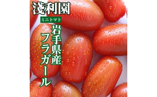 7月21日までの受付です！岩手県産フラガール！！