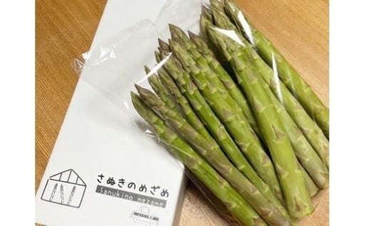 アスパラガス アスパラ さぬきのめざめ 夏芽 約1kg 香川県 オリジナル品種