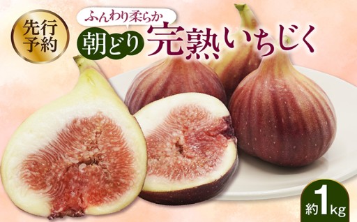 【先行予約】✨ふんわり柔らか朝どり完熟いちじく✨