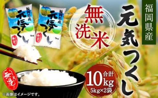 【令和6年産】福岡県産元気つくし 無洗米 10kg