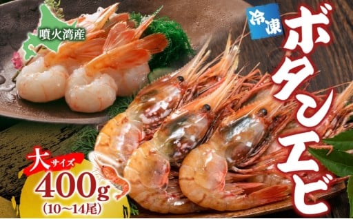 噴火湾産の冷凍ボタンエビ、受付開始しました！