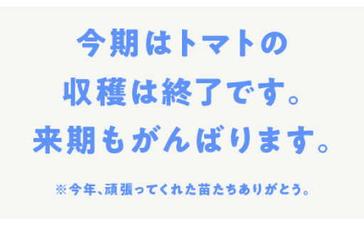 冷凍トマトやトマトソースはお届けできます！