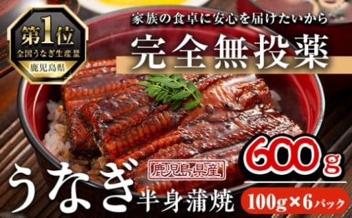 鹿児島県産うなぎ半身カットセット (100g×6パック、タレ・山椒付き)