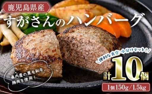 すがさんのハンバーグセット(計10個・1個150g)