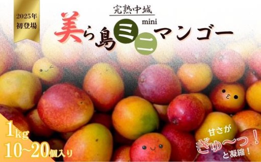 完熟沖縄ミニマンゴーご家庭用約1ｋｇ