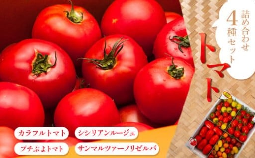 旨み凝縮！トマト詰め合わせ4種セット