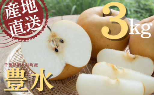 甘～い千葉しすいの梨「豊水」申込受付中！