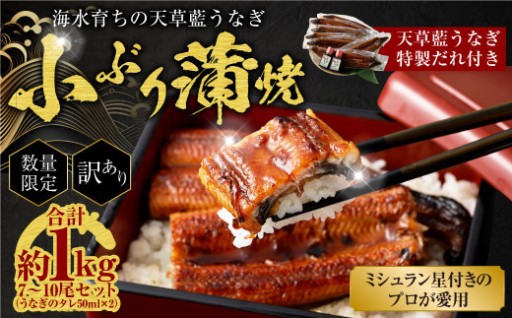  【ミシュラン星付きのプロが愛用】海水育ちの 天草 藍うなぎ 小ぶり 蒲焼 1kg（7～10尾）