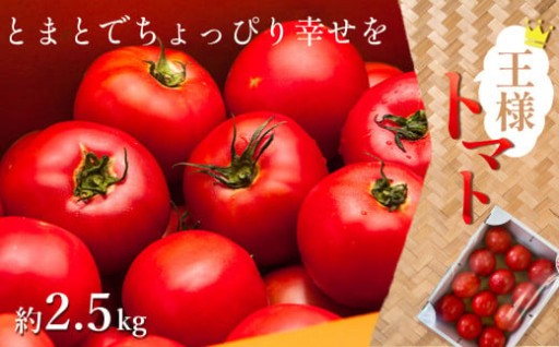 旨み凝縮！王様トマト 約2.5kg