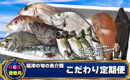 【年6回奇数月】福津の旬の魚介類こだわり定期便
