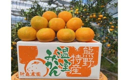 収穫次第順次発送いたします！