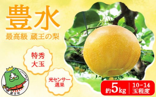 【先行予約】最高級 蔵王の梨 豊水 約5kg