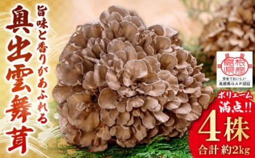 肉厚でジューシー！ボリュームたっぷり！旨味と香りがあふれる奥出雲舞茸4株（約2ｋｇ）