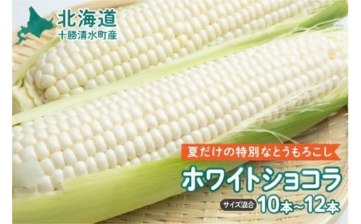 🌽7月末まで！幻の白いとうもろこし 受付開始！🌽