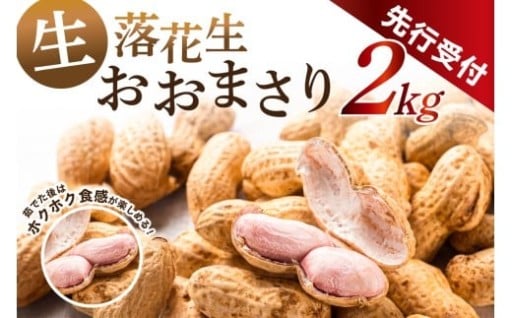 【先行受付】南房総市産生落花生おおまさり 2kg