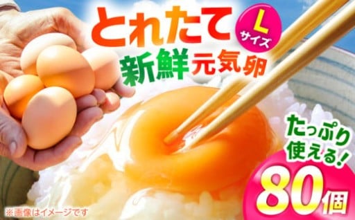 ＼驚きの濃厚さ！／ お茶と海藻で健康育ちの元気卵