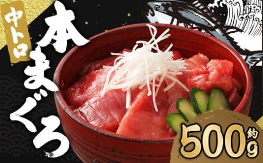 長崎県産 本マグロ「中トロ」約500g