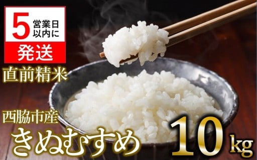 スピード発送対応！令和6年産お米をお届け！