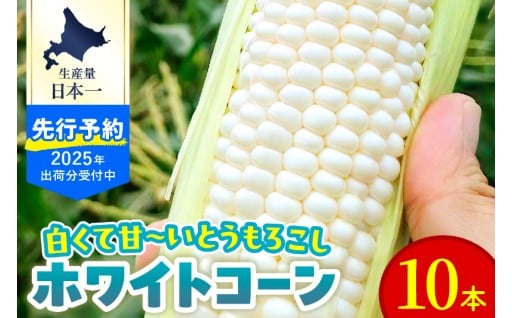 ⭐8月より発送予定⭐北海道十勝芽室町 とうもろこし ホワイトコーン 10本セット🌽
