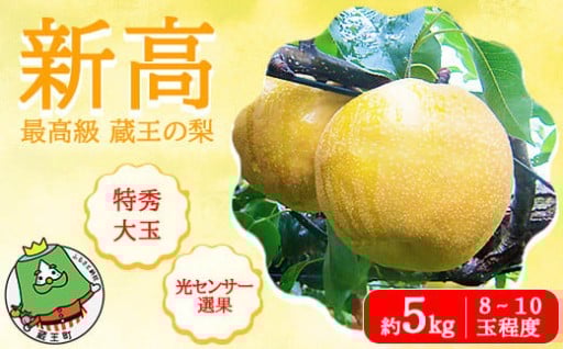 【先行予約】最高級 蔵王の梨 新高 約5kg