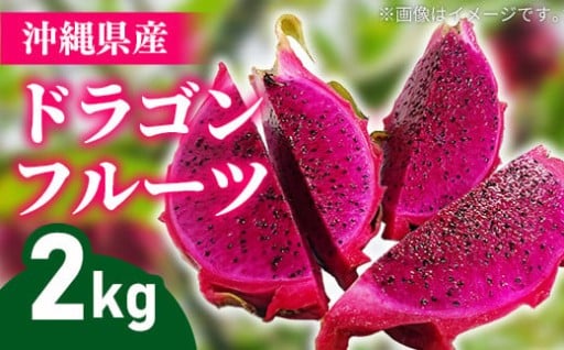 【完熟】熱帯果樹生産組合のドラゴンフルーツ約2kg（3～7玉）【2025年発送】