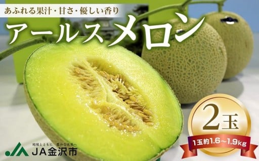 アールスメロン 2玉 JA金沢市