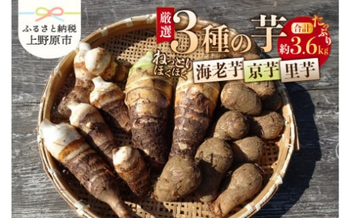 厳選３種の芋セット 各約1.2kg