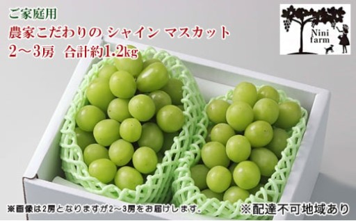  【平均糖度20度】 ご家庭用 農家こだわりの シャイン マスカット 2～3房 合計約1.2kg