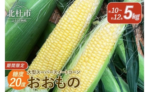 今が旬！茅ヶ岳高原 糖度20度 大型スーパースイートコーン《おおもの》