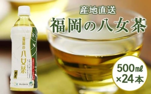 福岡八女茶 煎茶ペットボトル 500ml×24本